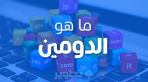حجز ونقل النطاقات من شركة إلى أخرى domain